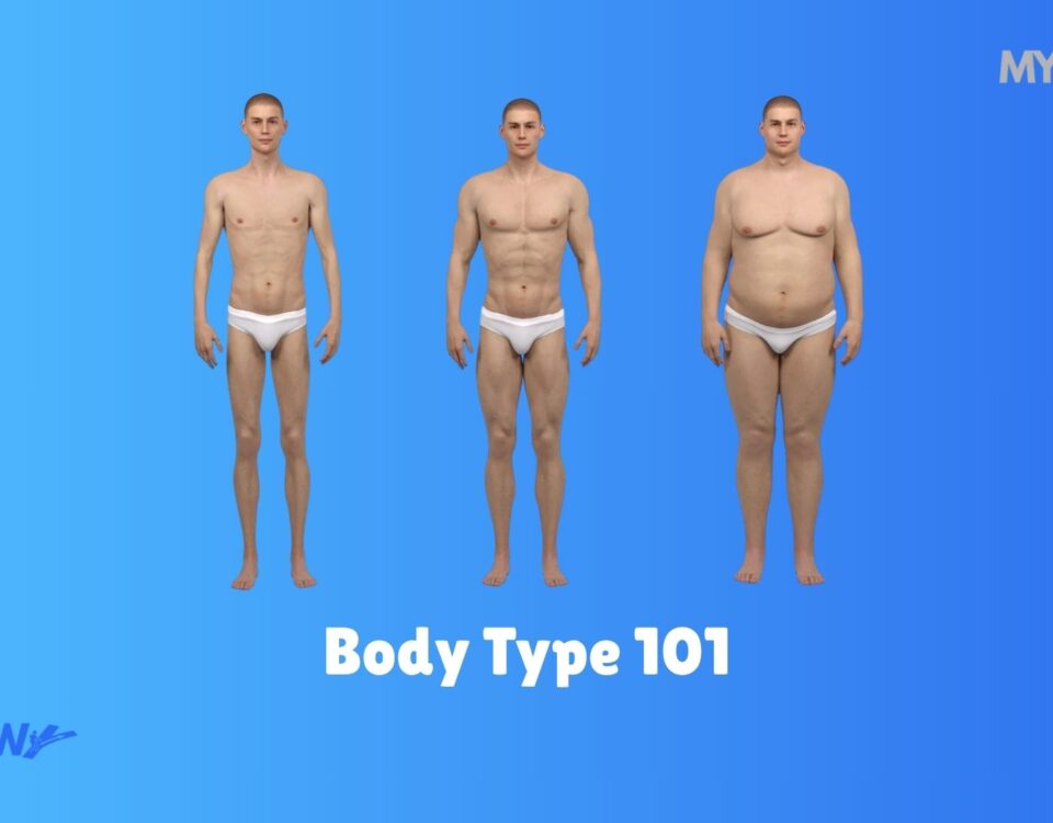 Body Type 101