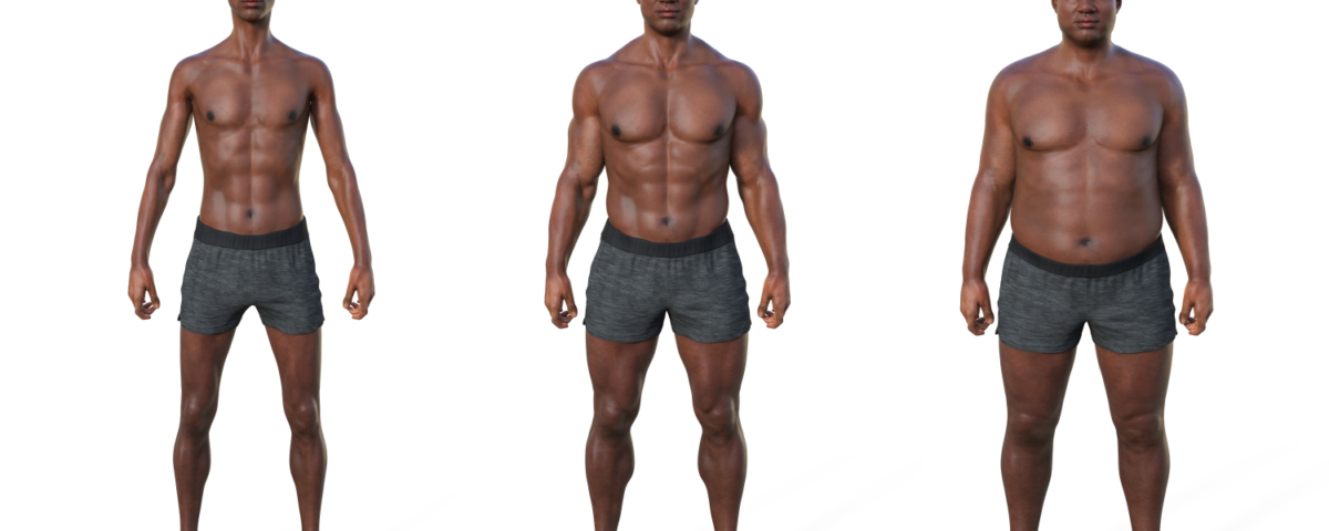 Body Type 101 Ectomorph, Mesomorph, Endomorph
