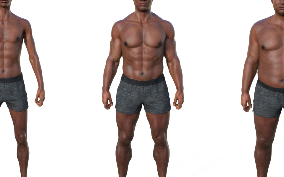 Body Type 101 Ectomorph, Mesomorph, Endomorph