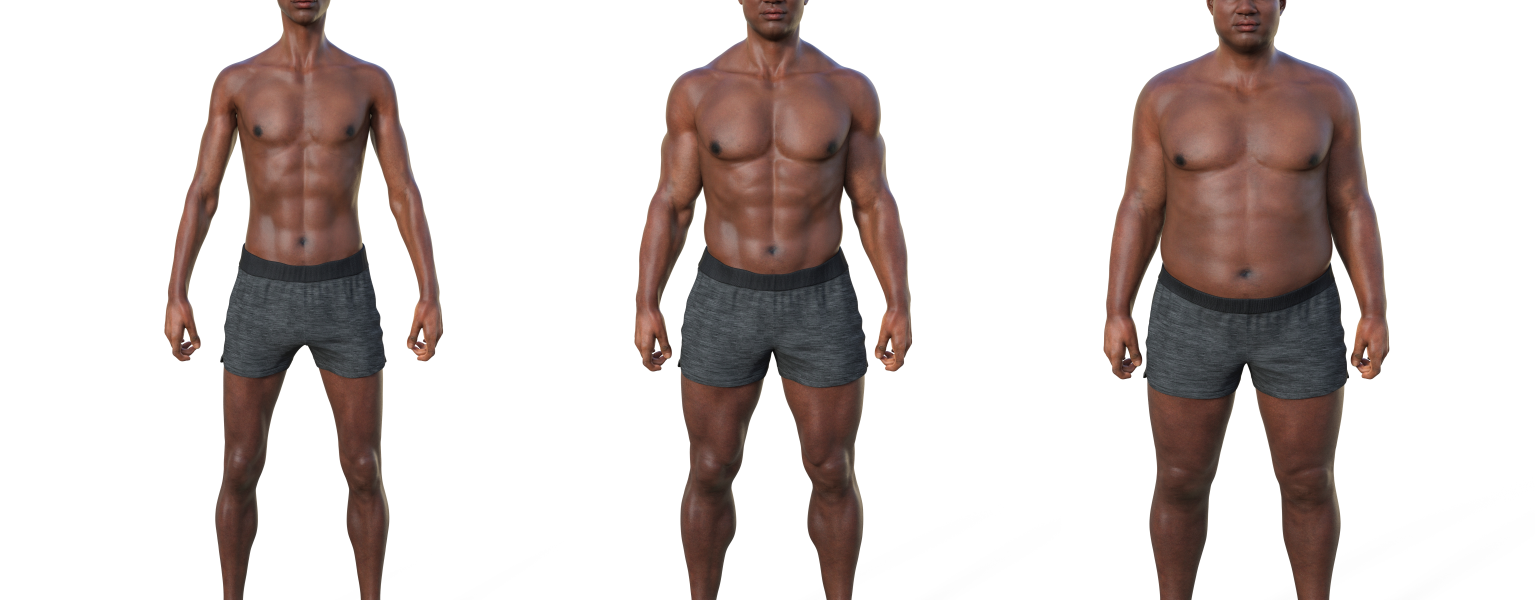 Body Type 101 Ectomorph, Mesomorph, Endomorph