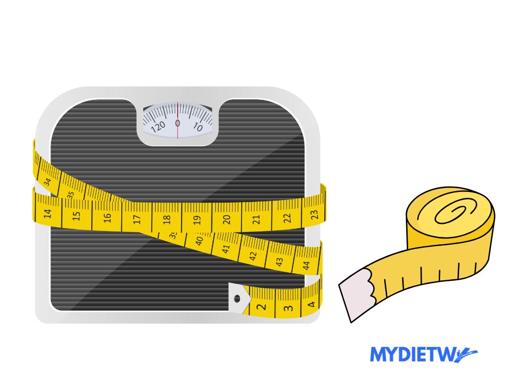 Which One Is Better for Weight Loss