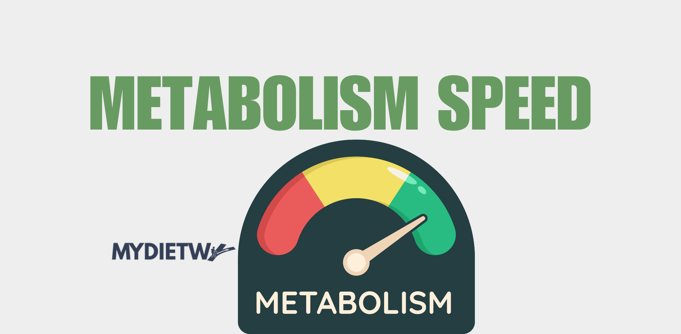 Metabolism speed affects Your Ideal Diet